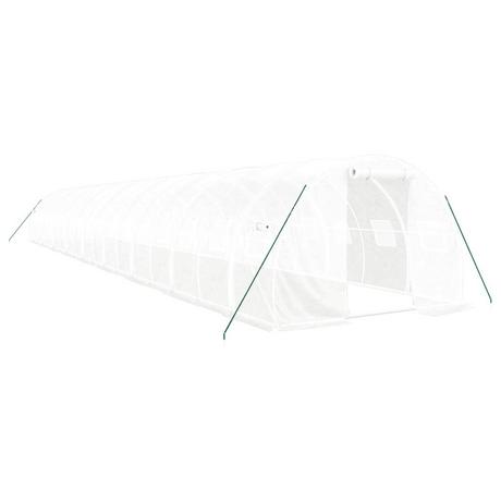 VidaXL Serre polyéthylène  