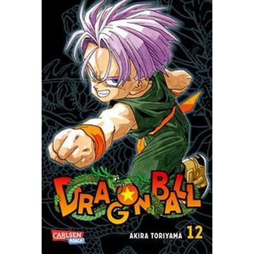 Dragon Ball Massiv 12