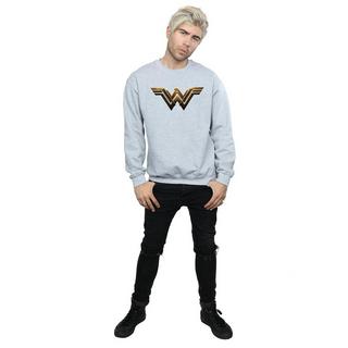 DC COMICS Justice League Wonder Woman Logo Sweatshirt  