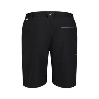 Regatta  Xert III Shorts 