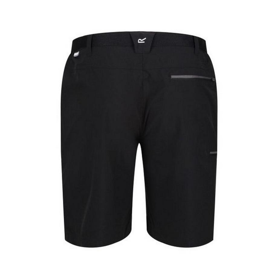 Regatta  Short XERT 