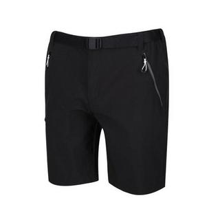 Regatta  Xert III Shorts 