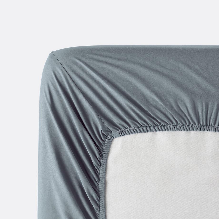 La Redoute Intérieurs Drap housse Scenario  