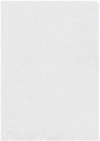 BÜROLINE BÜROLINE Sichtmappen PP A4 667300 transparent, matt 10 Stück  