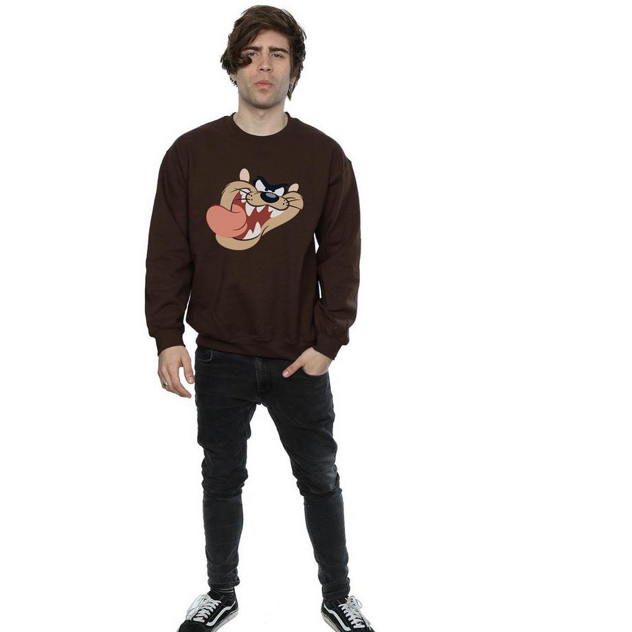 LOONEY TUNES Taz Face Sweatshirt  