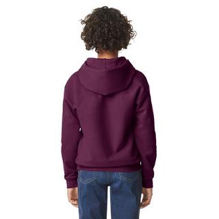 Gildan  Softstyle Kapuzenpullover 