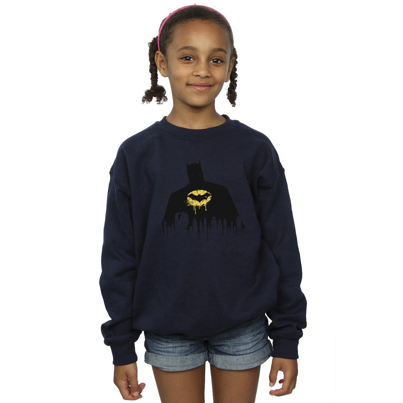 DC COMICS  Sweatshirt 
