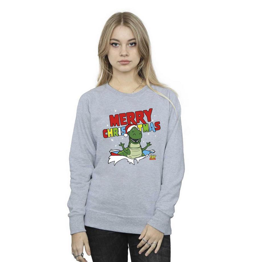 Disney Toy Story Merry Christmas Rex Sweatshirt  