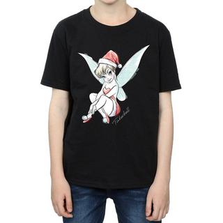 Disney  Fairy TShirt 