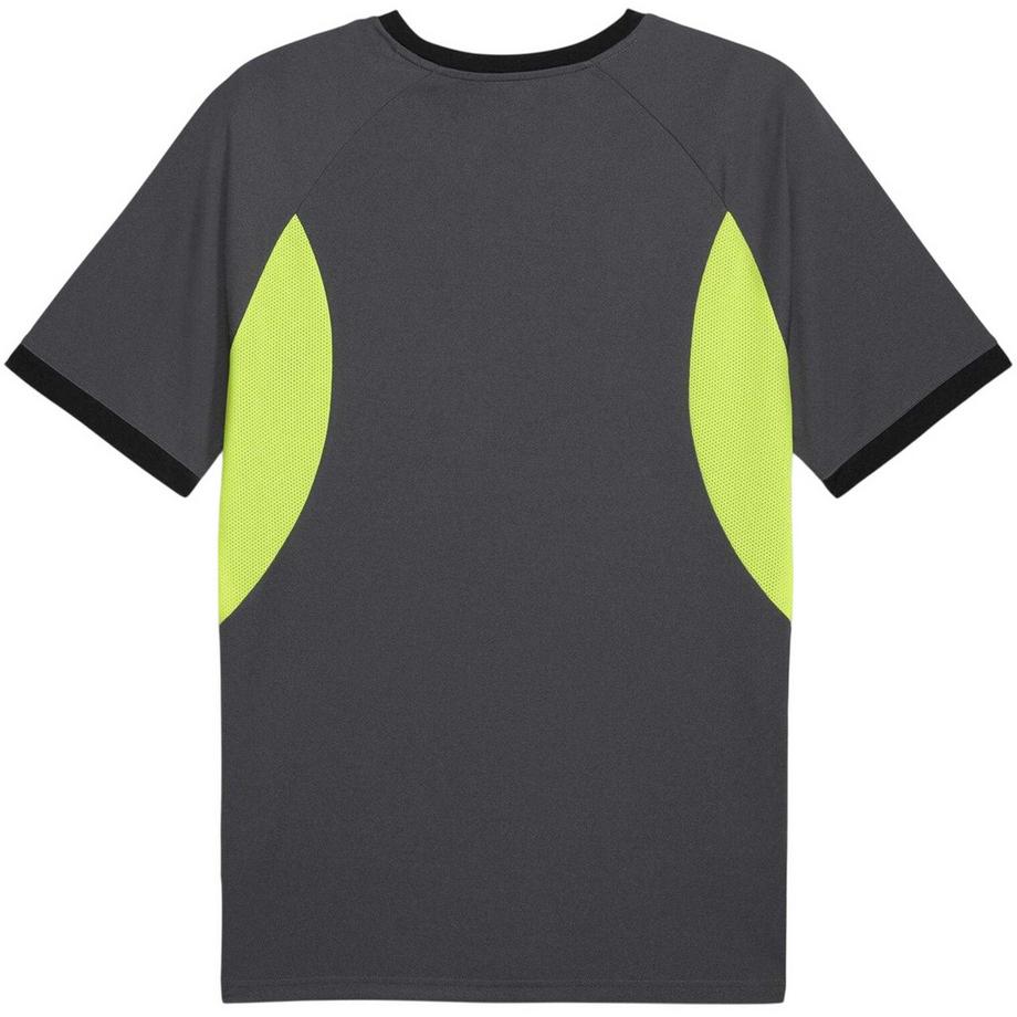 PUMA  T-ShirtIndividualliga 