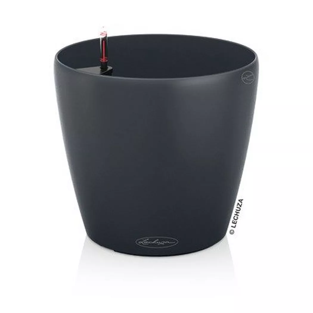 Lechuza - Color CLASSICO all-in-one, 21cm, Anthrazit