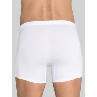 sloggi  BasicSoft Short 