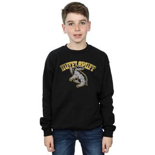 Harry Potter  Hufflepuff Sweatshirt 