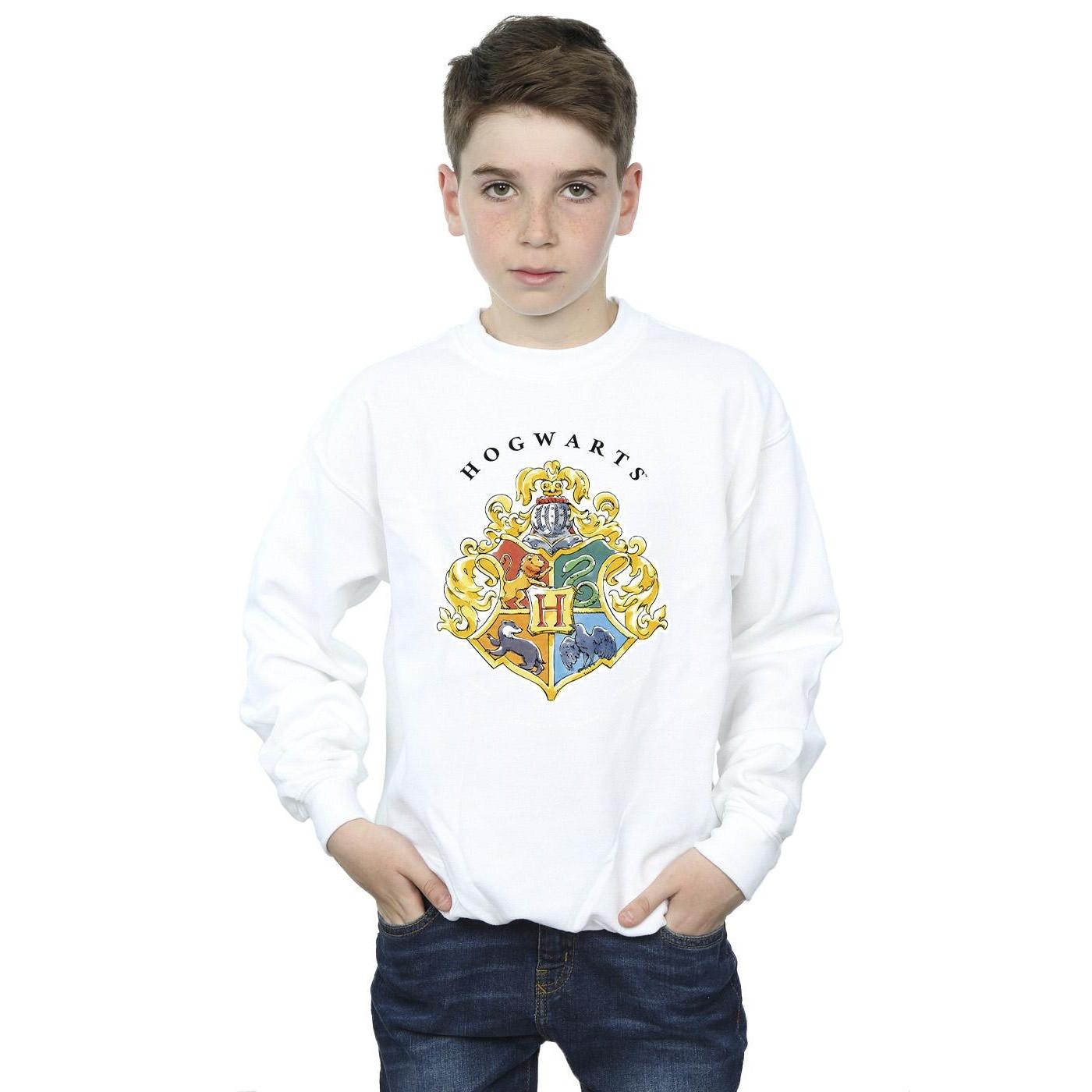Harry Potter  Hogwarts Sweatshirt 