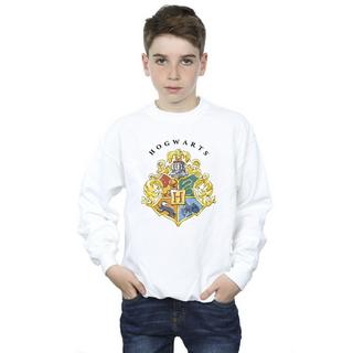 Harry Potter  Hogwarts Sweatshirt 