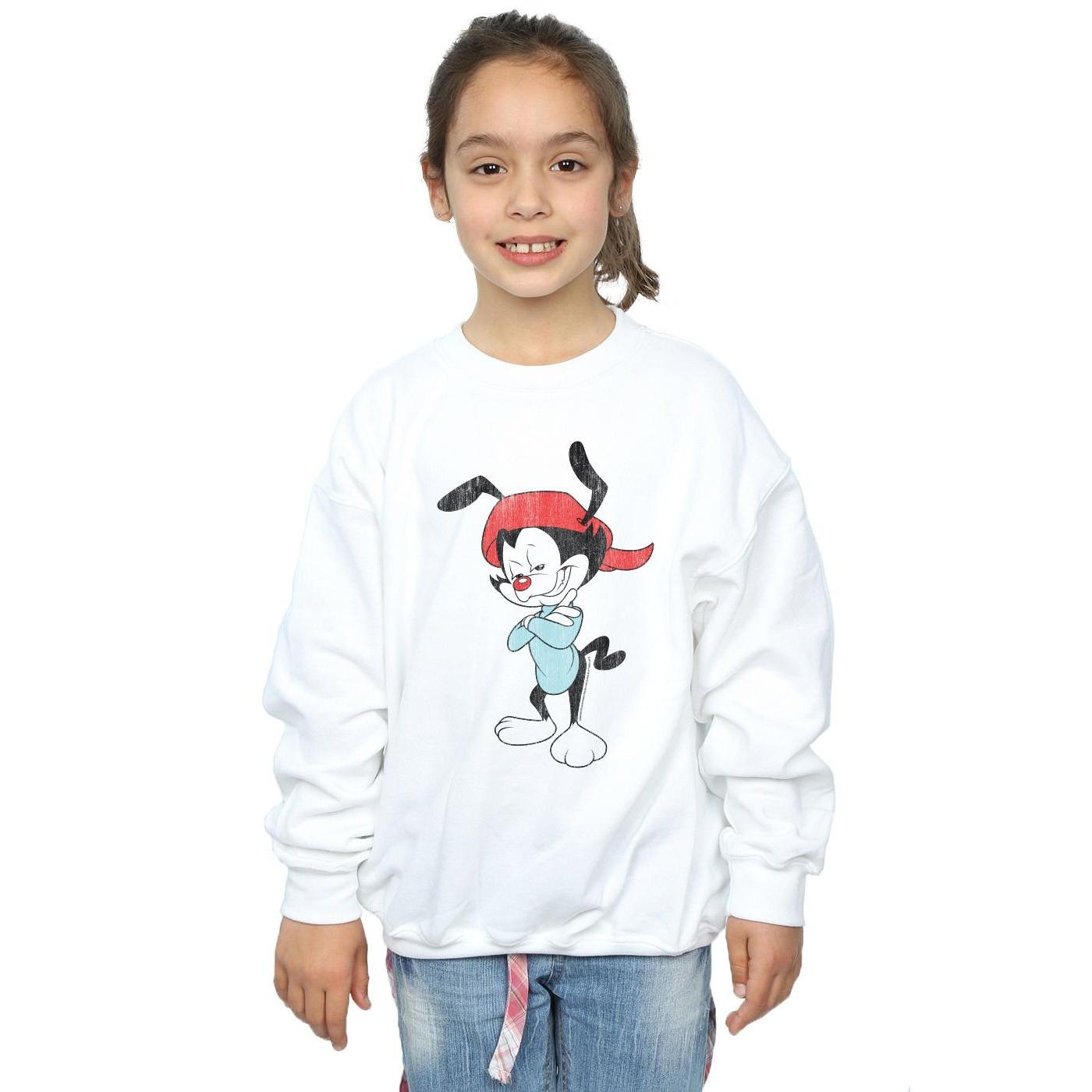 Animaniacs  Sweatshirt 
