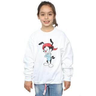 Animaniacs  Sweat 