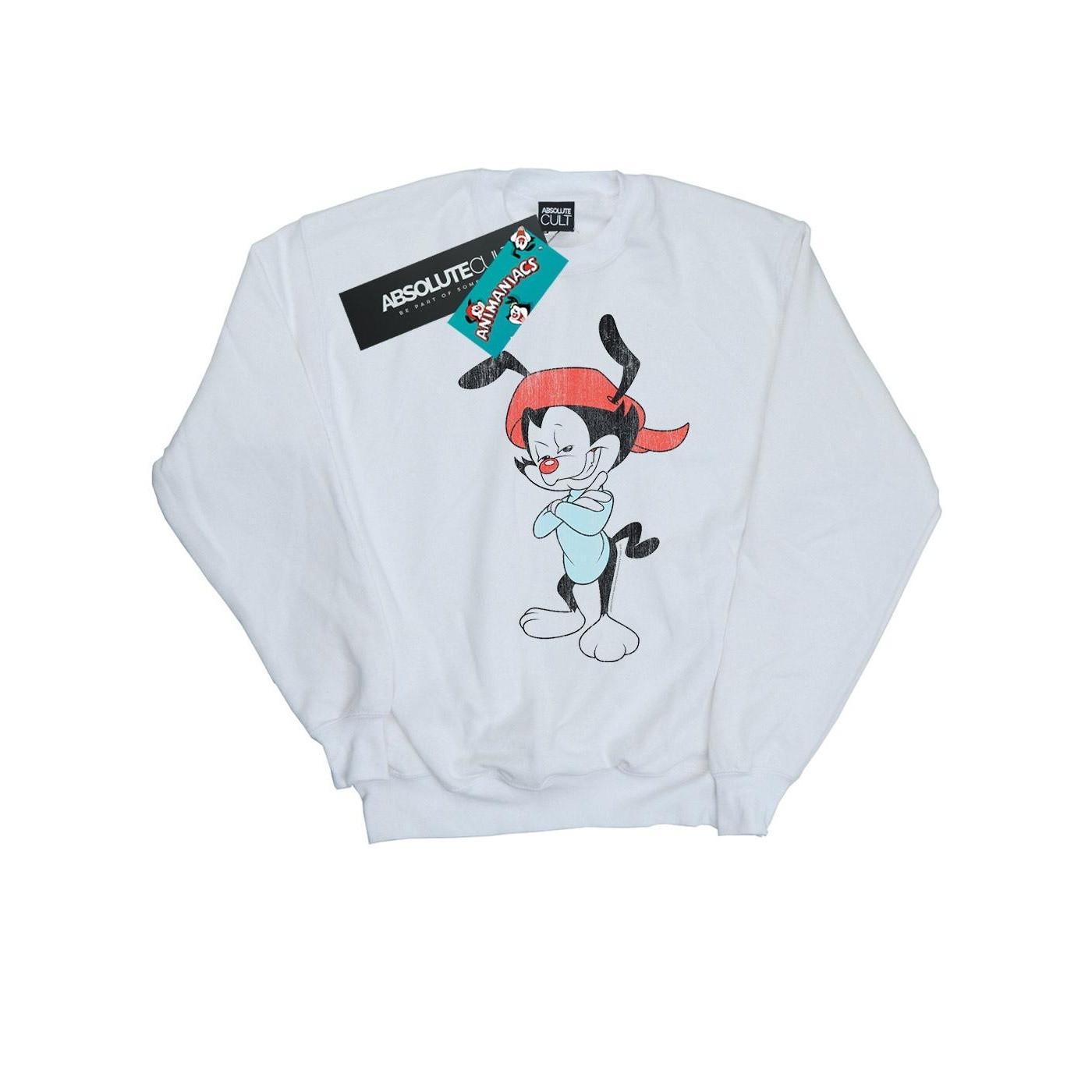 Animaniacs  Sweat 