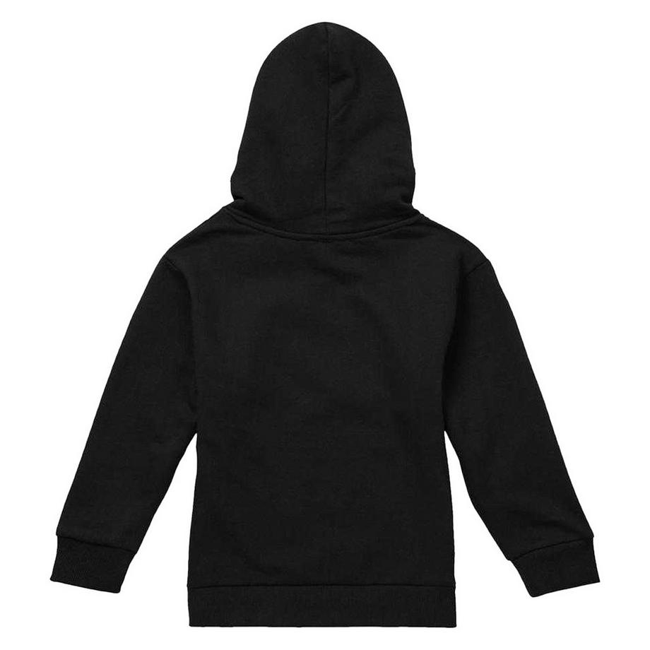 Pink Floyd  Sweat À Capuche World Tour 