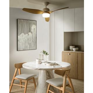 Beliani Ventilateur de plafond avec lampe en Matière synthétique Moderne ANDERSON  