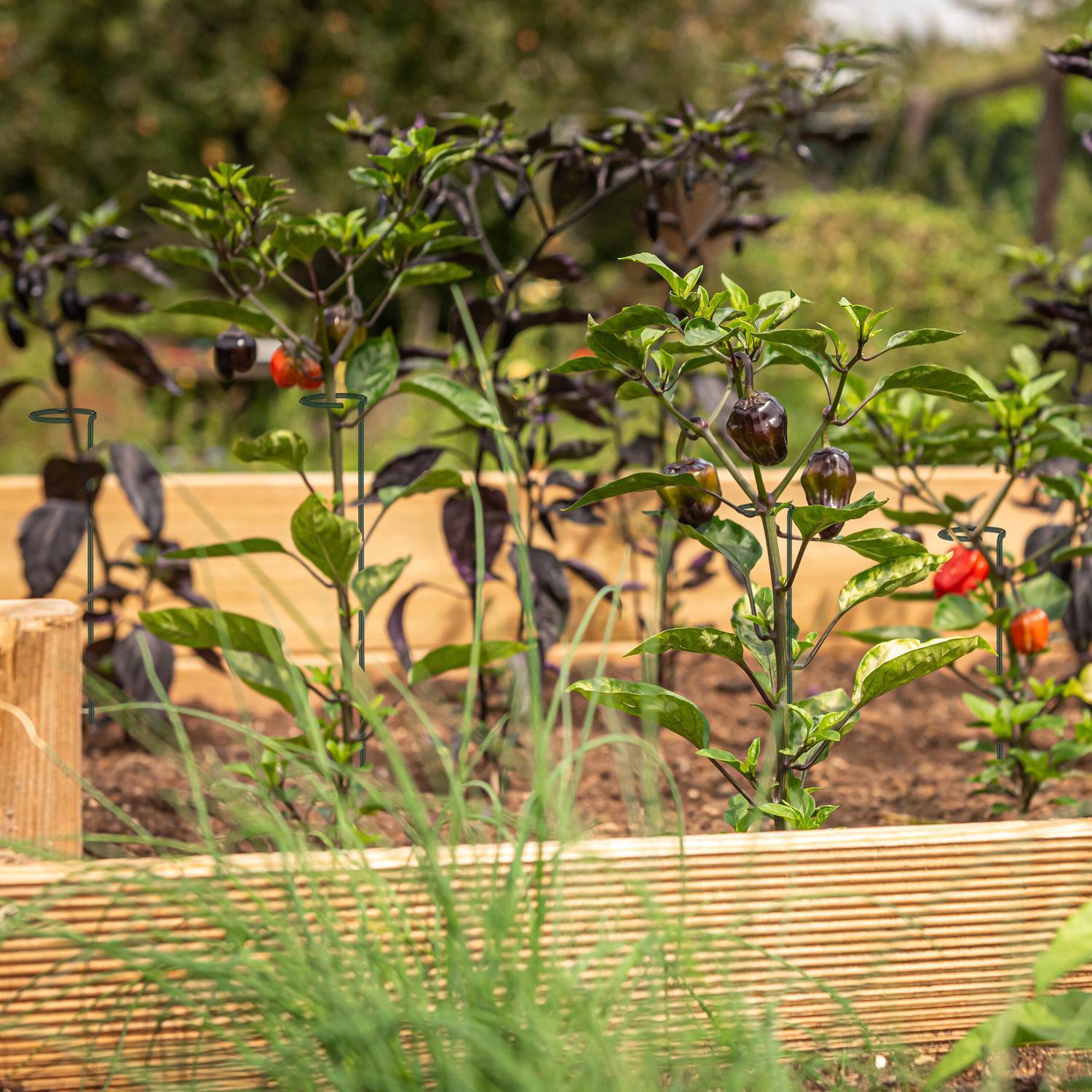 B2X 6er Set Pflanzenstäbe aus Metall  