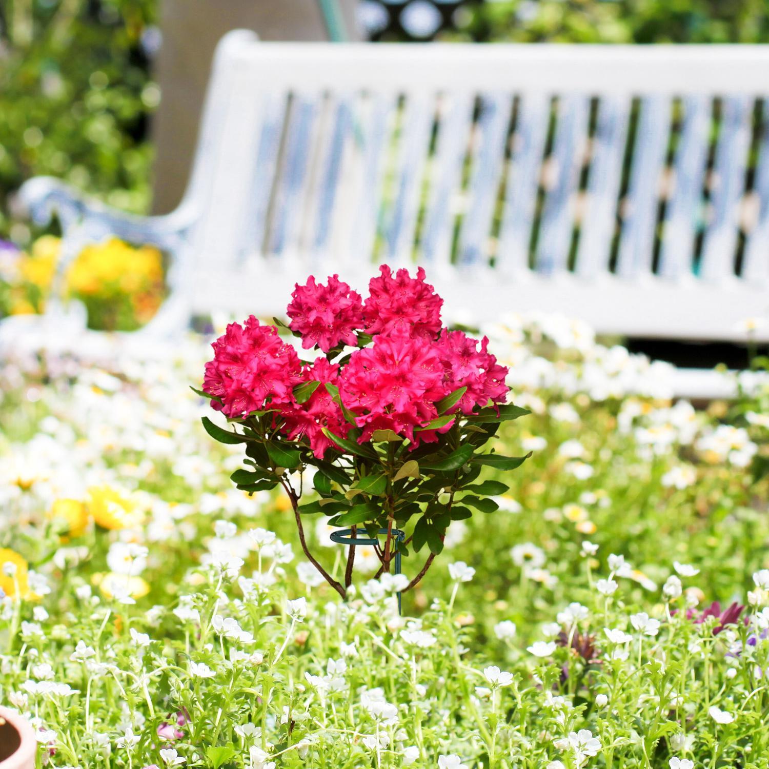 B2X 6er Set Pflanzenstäbe aus Metall  