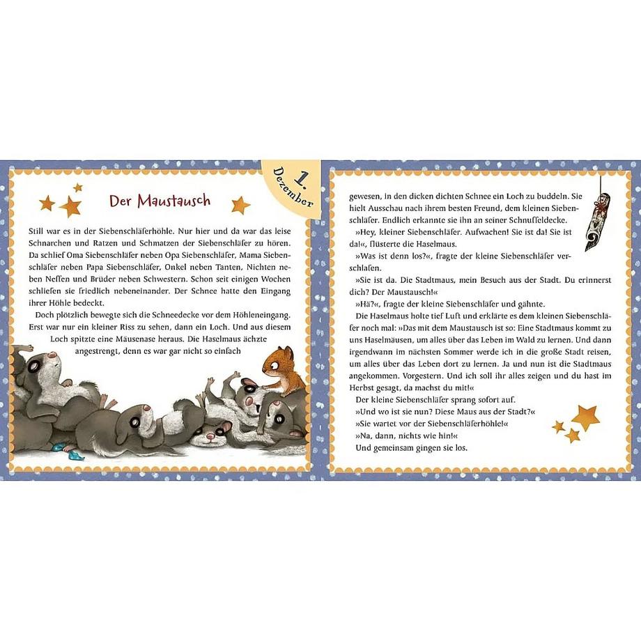 Der kleine Siebenschläfer: Adventsgeschichten aus dem Lichterwald Bohlmann, Sabine; Schoene, Kerstin (Illustrationen) Couverture rigide 