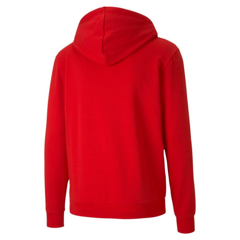 PUMA  weathirt à capuche teamgoal 23 caual hooded 