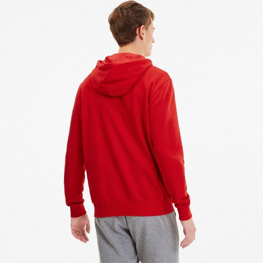 PUMA  weathirt à capuche teamgoal 23 caual hooded 