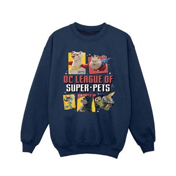 DC League Of SuperPets Sweatshirt