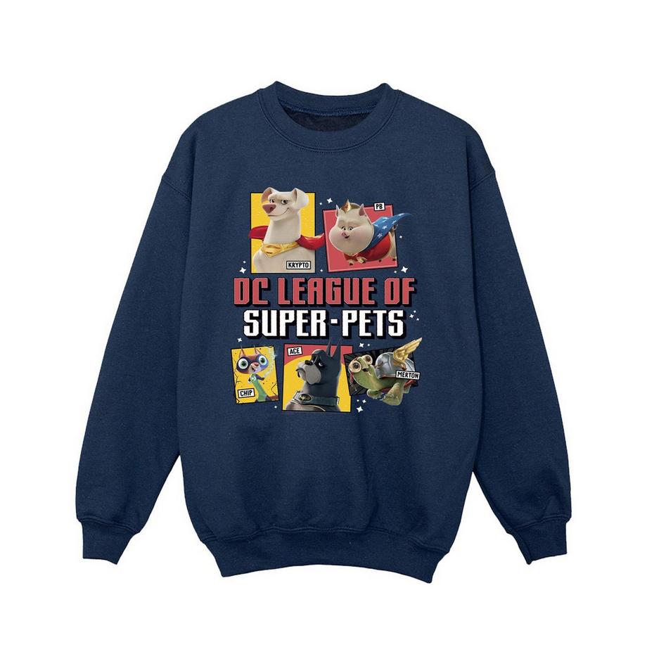 DC COMICS  DC League Of SuperPets Sweatshirt 