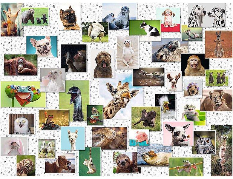 Ravensburger  Puzzle Funny Animals Collage (1500Teile) 