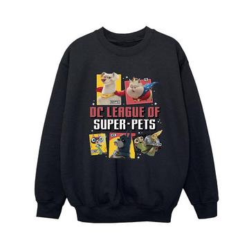 DC League Of SuperPets Sweatshirt