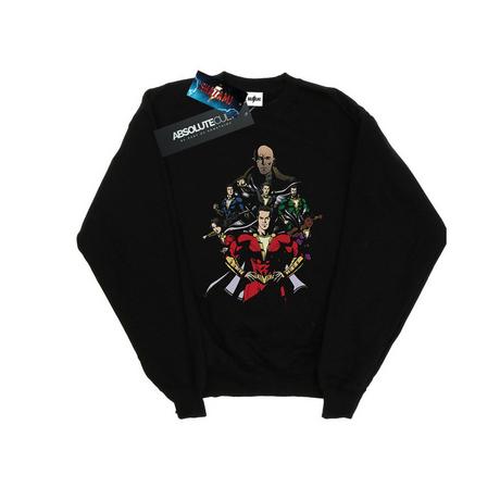 DC COMICS  Sweatshirt 