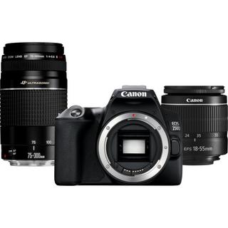 Canon  EOS 250D + EF-S 18-55mm f/3.5-5.6 III + EF 75-300mm f/4-5.6 III 