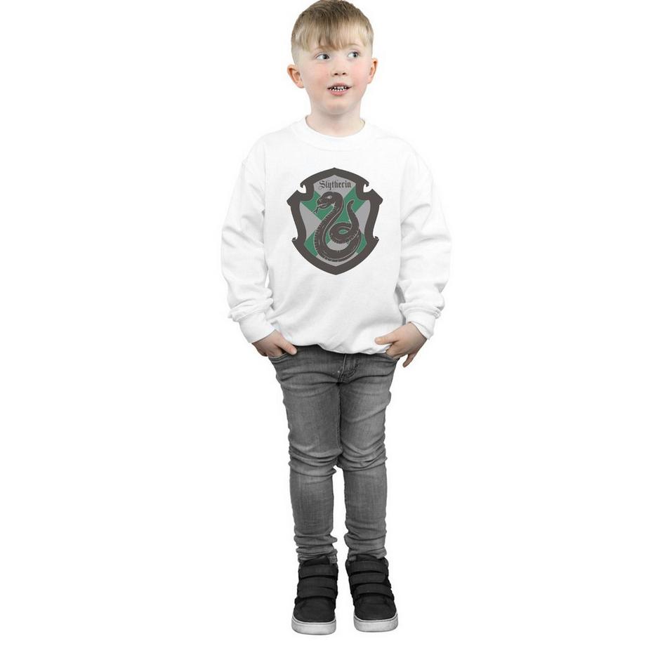 Harry Potter  Slytherin Sweatshirt 
