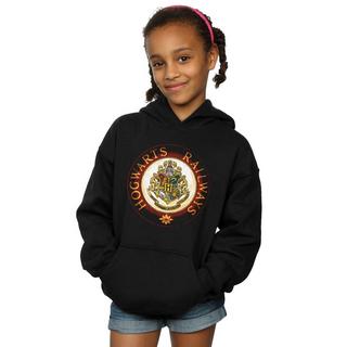 Harry Potter  Hogwarts Kapuzenpullover 