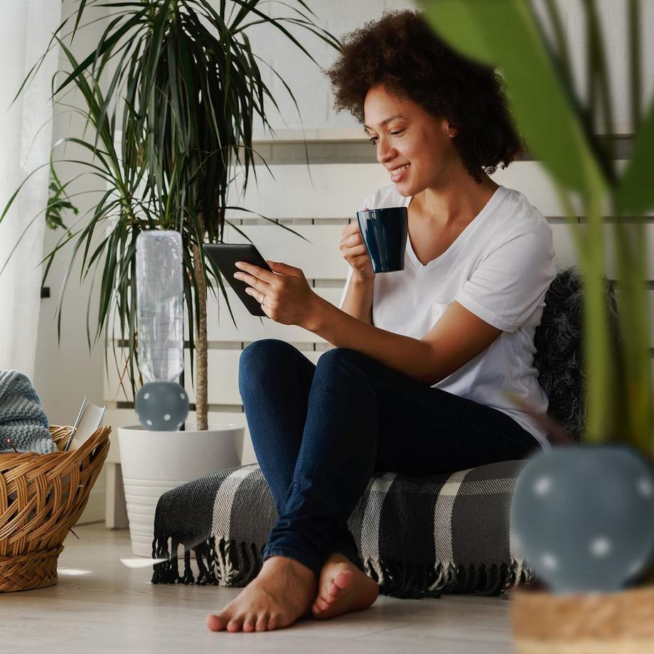 B2X  Große Tonkegel zur Bewässerung 4er Set 