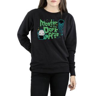 Harry Potter Voldemort Dark Arts Junior Sweatshirt  