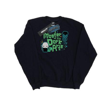 Harry Potter Voldemort Dark Arts Junior Sweatshirt  