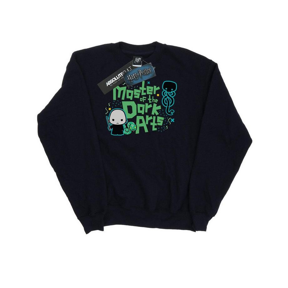 Voldemort Dark Arts Junior Sweatshirt