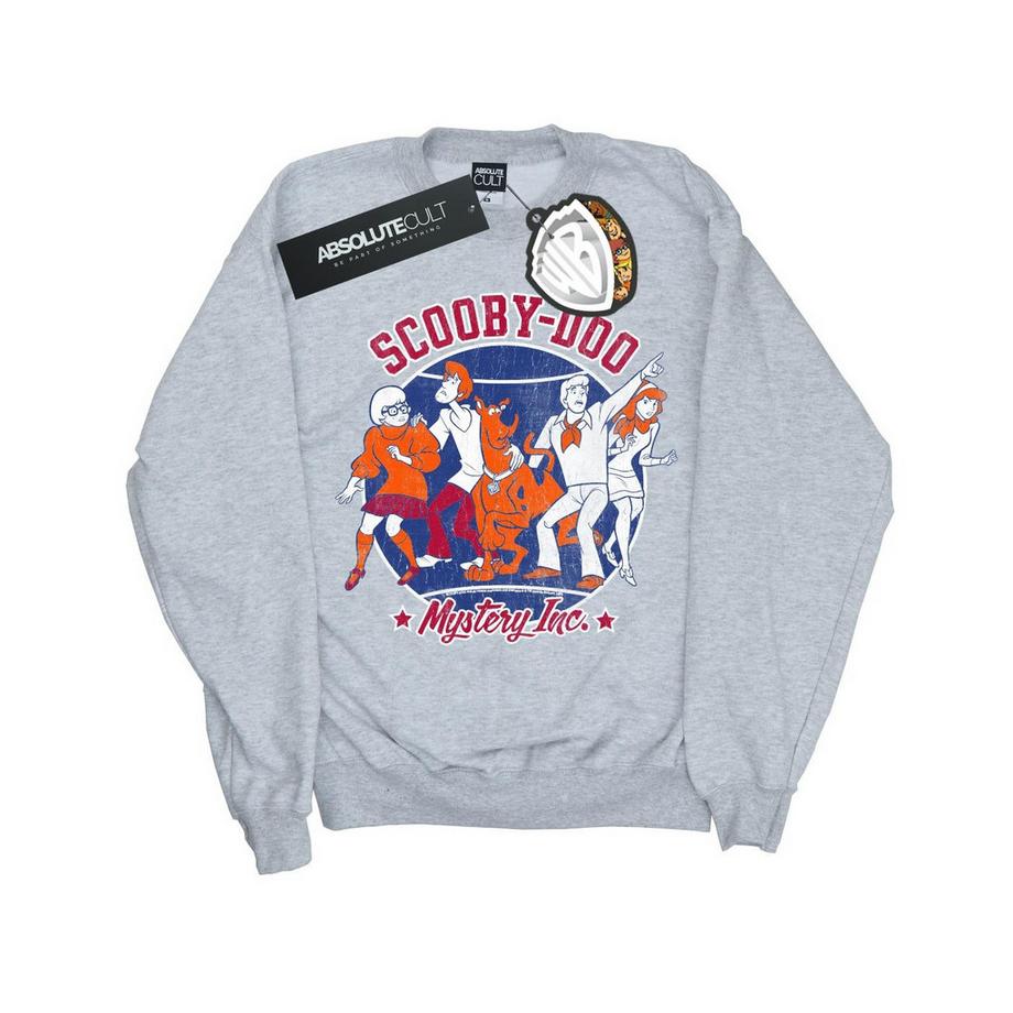 Collegiate Circle Sweatshirt
