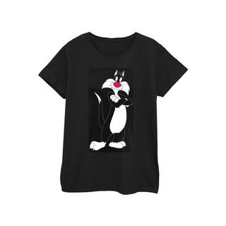 LOONEY TUNES Sylvester the Cat T-Shirt Imprimé Graphique  