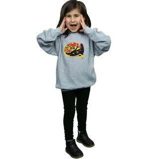 DC COMICS  Sweatshirt 