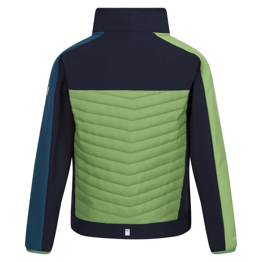 Regatta  Brynden Giacca Soft Shell Cerniera Su Intera Lunghezza 