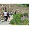 Smartbox  1 giornata al Lago di Ginevra con degustazione vini, pasto locale e tour della zona - Cofanetto regalo 
