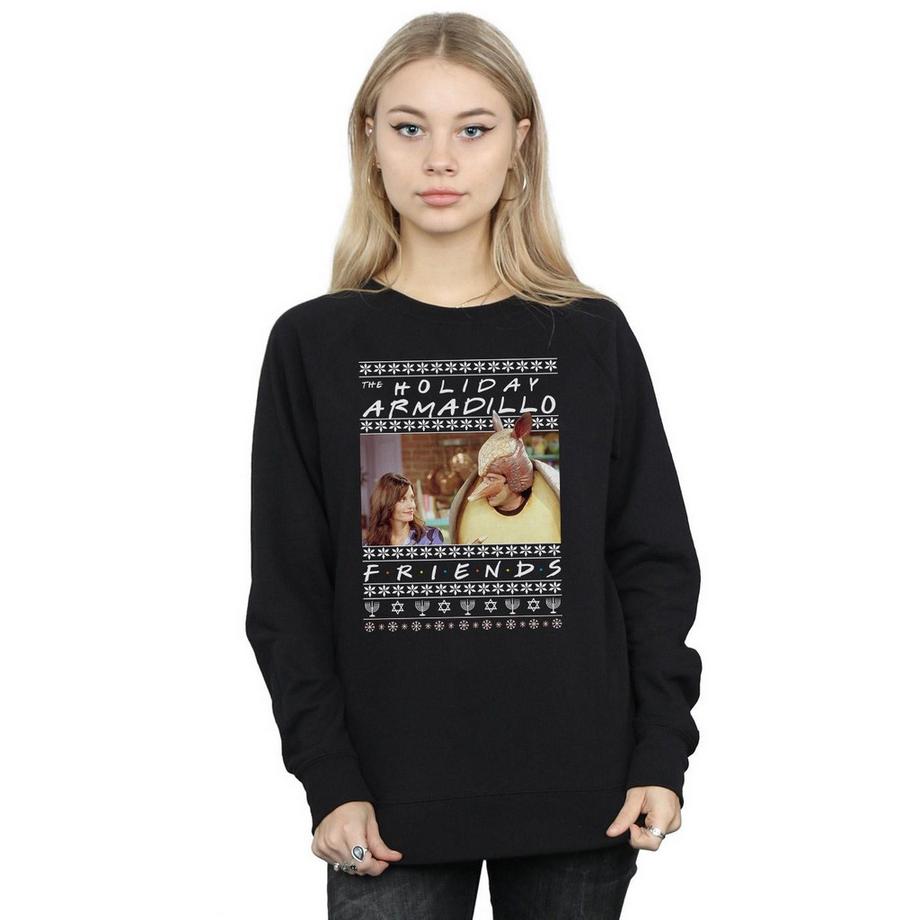 Friends Holiday Armadillo Sweatshirt  