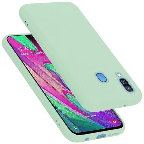 Cadorabo  Housse compatible avec Samsung Galaxy A40 - Coque de protection en silicone TPU flexible 