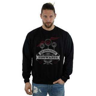 Harry Potter Quidditch At Hogwarts Sweatshirt  