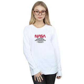 Nasa  Worm Blurb Sweatshirt 